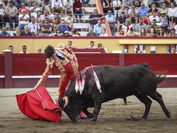 Lorenzo, bajando la mano