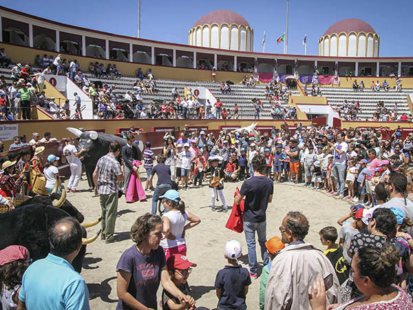 Centenares de ni�os en la isla