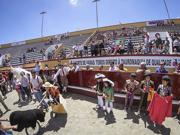 Ni�os de todas las edades