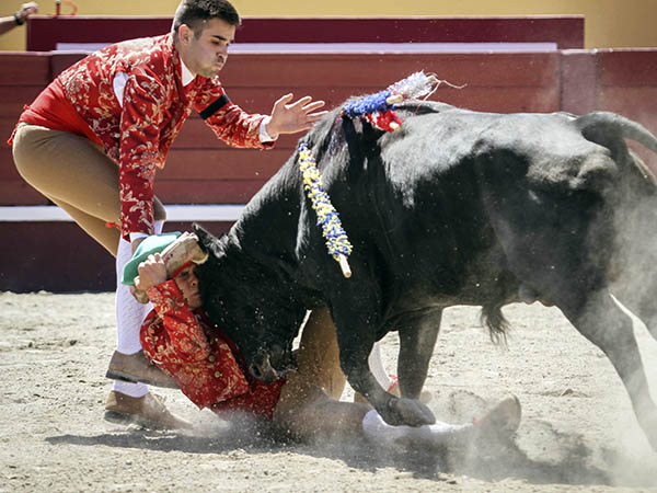 La pega de Joao Vieira