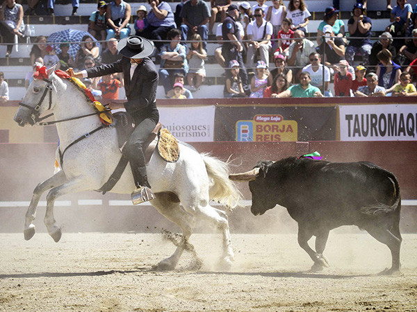 La monta de Francisco Correira