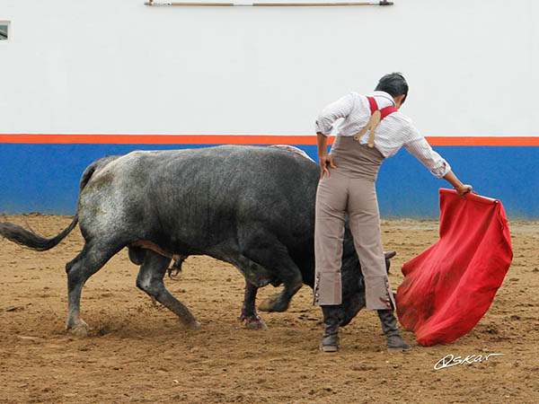 Somentiendo al c�rdeno