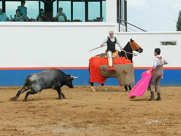 Al caballo con fijeza