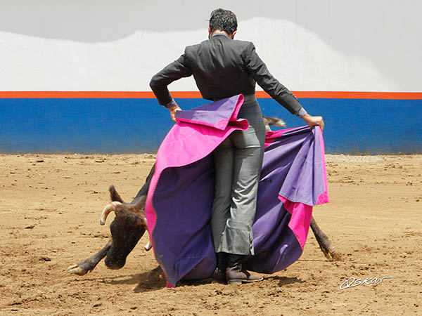 Ce�idas chicuelinas