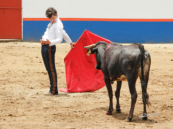 El enga�o por la espalda