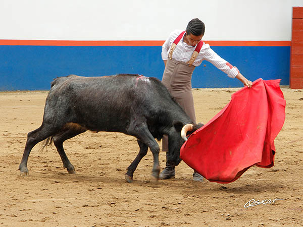 Consintiendo a la erala