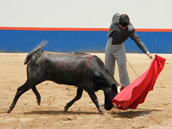 Dominio de las alturas