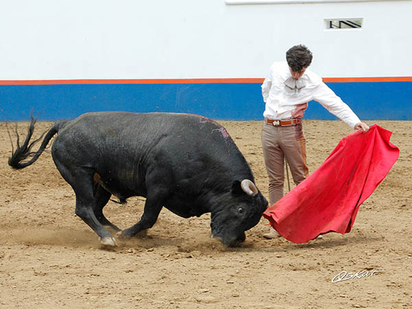 Comlementando la lidia