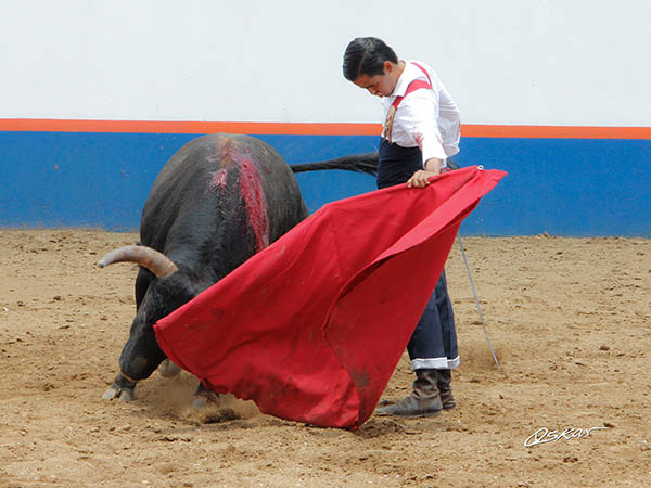 Por el pit�n izquierdo