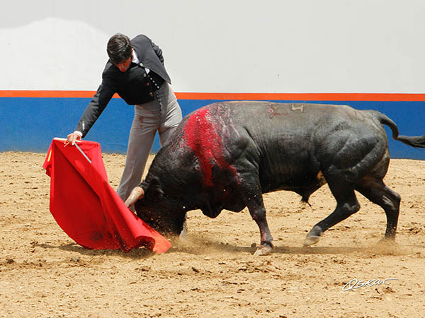 Metiendo la cara abajo