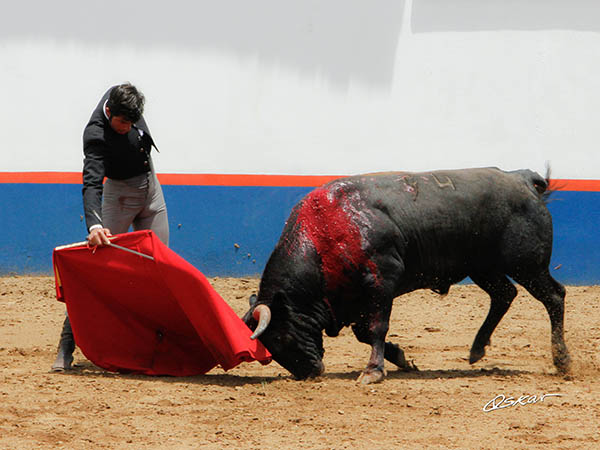 Buen juego del ejemplar