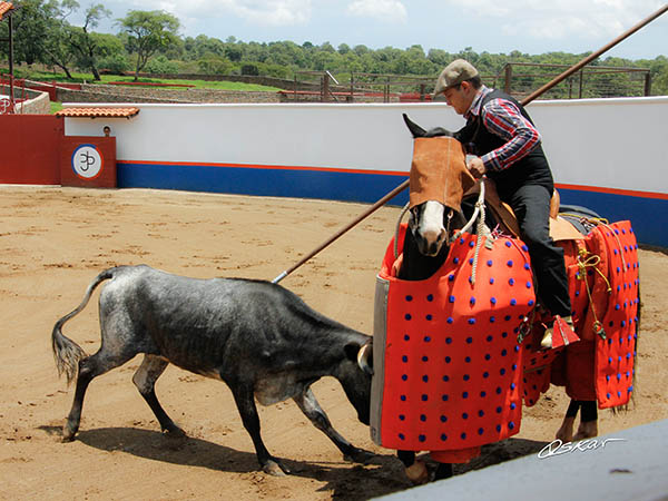 Certero con la lanza