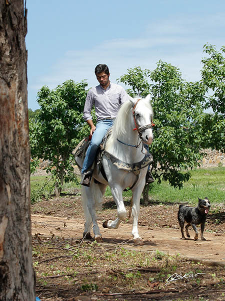 Otra faceta del matador