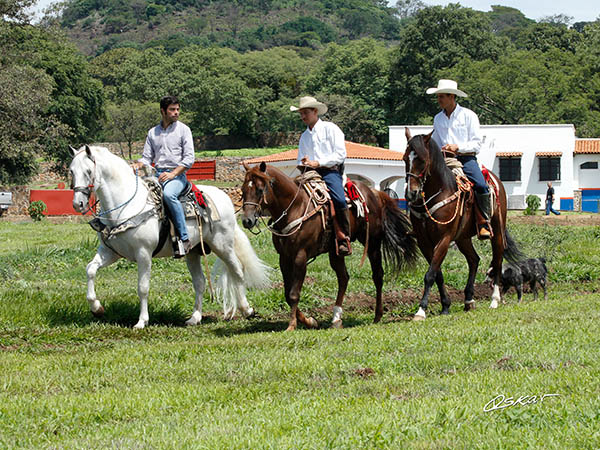 Disfrutando del verde