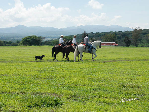 Potreros de San Constantino