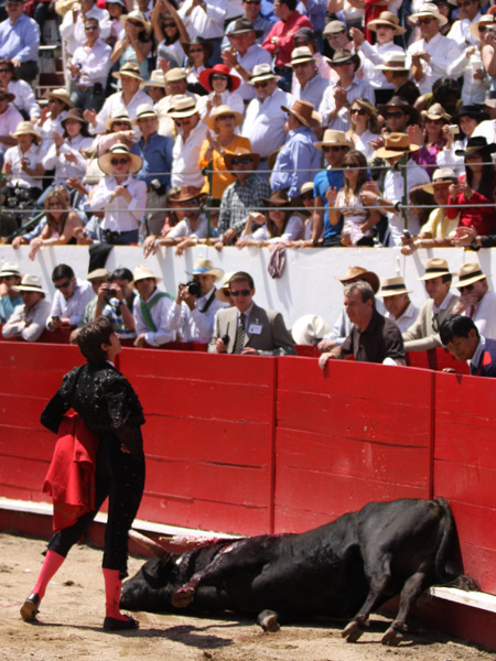 Entregado el torero y el p�blico