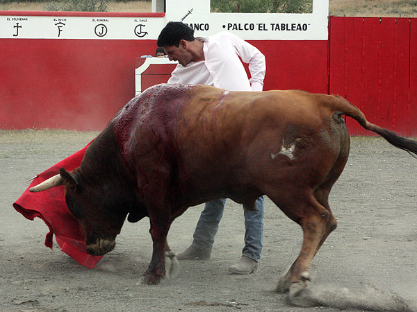 Largo el trazo de Manolo