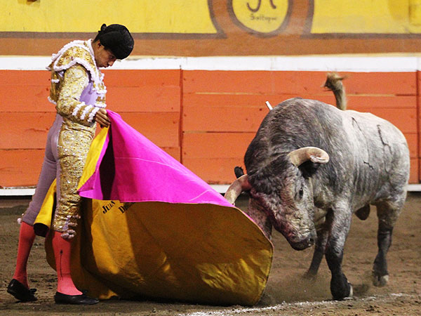 Silis en torero toda la tarde