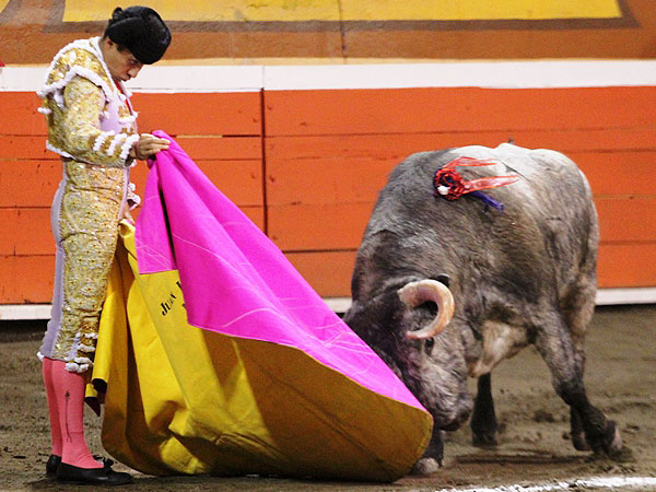 Juan Luis Silis, estoico