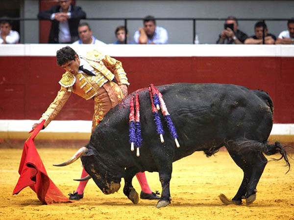 Acompa�ando con la voz