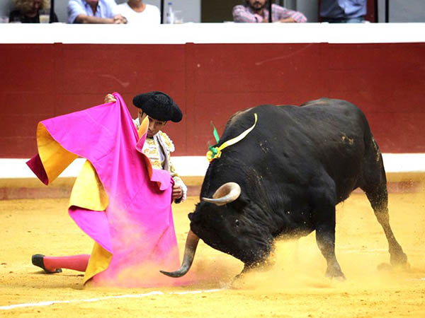 Lances rodilla en tierra