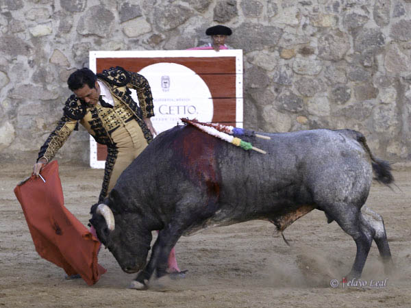 Derechazos al c�rdeno