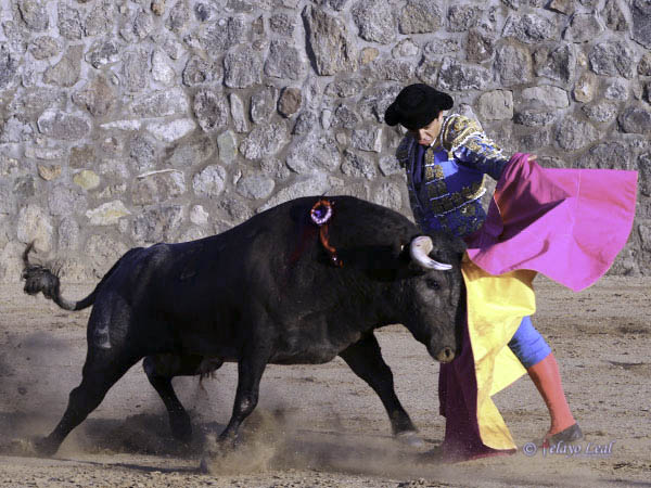 Saludo a media altura