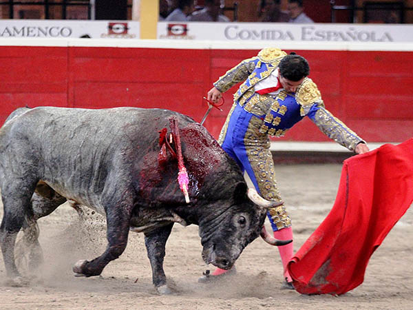 Codicia del c�rdeno