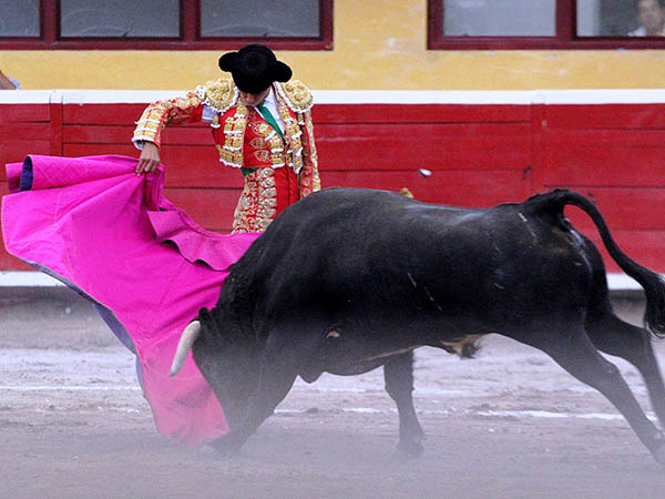 Chicuelinas en el tecio