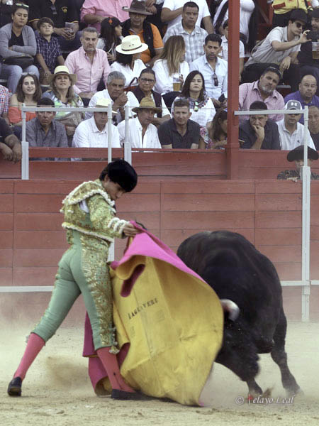 Michelito, a la ver�nica