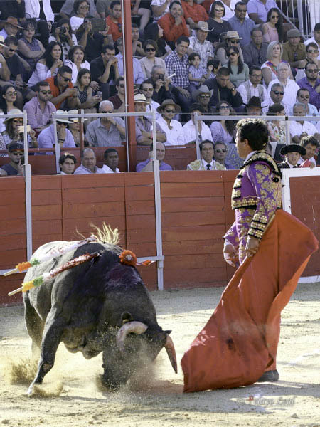 Desmayando el enga�o