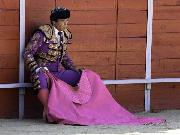 La vista en el toril