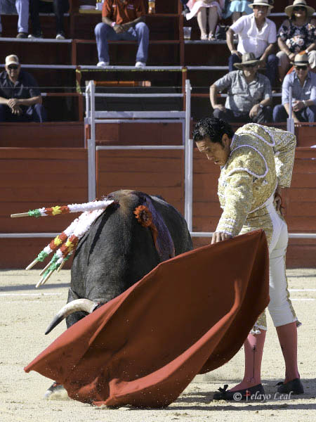 Tirando del c�rdeno
