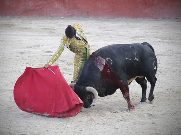 Ce�idos derechazos