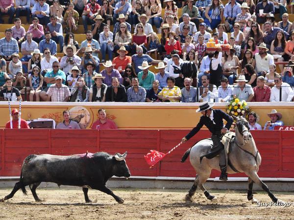 Encelando con la banderola