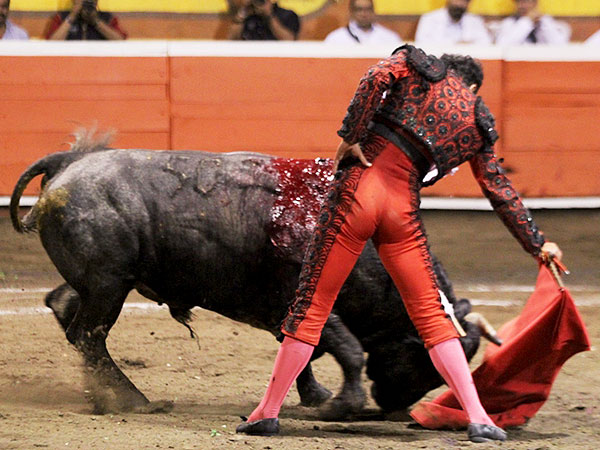 Mano baja y trazo largo