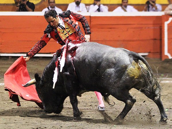 Faena de gran conocimiento