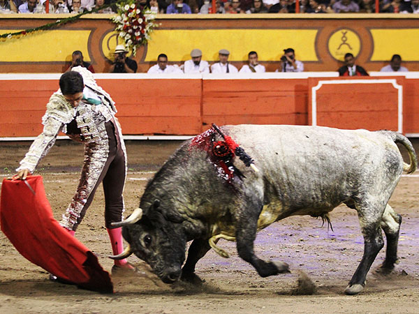 Calidad en la embestida