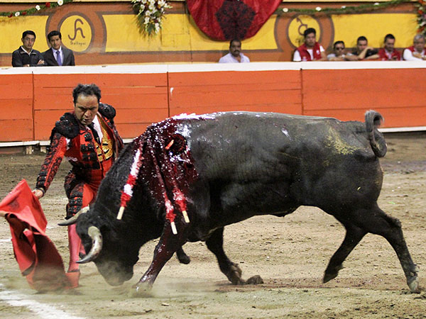 Un lote que exigi� el carnet