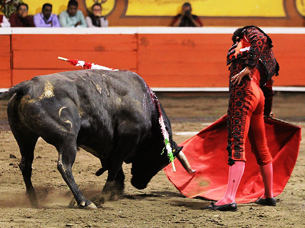 Meti�ndolo en la muleta