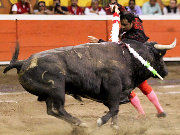 Pares de mucha exposici�n