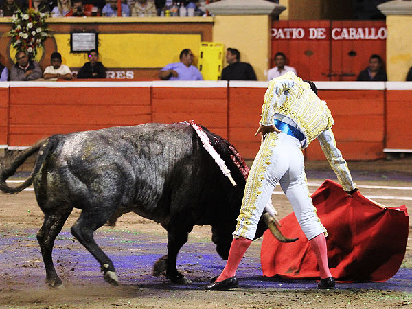 Buen toro de Piedras Negras