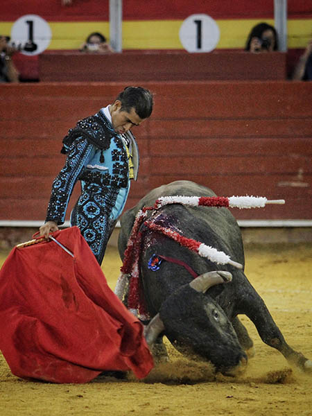 Tirando del ejemplar