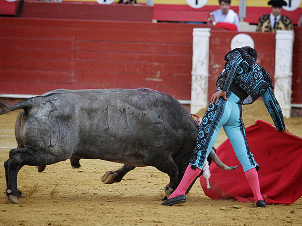 Acompasado en los muletazos