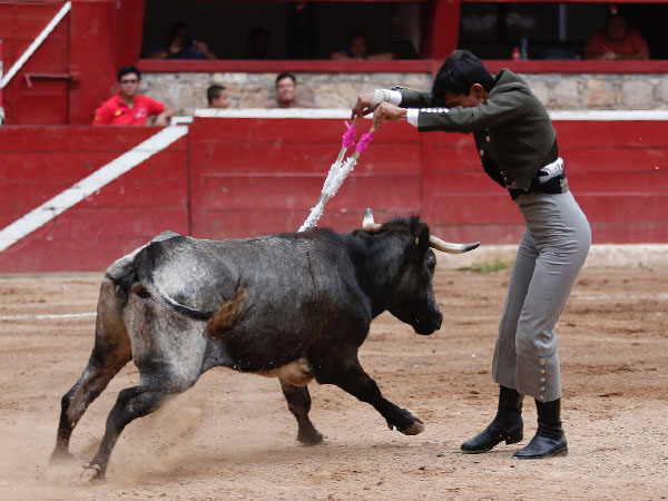 Adornando el morrillo