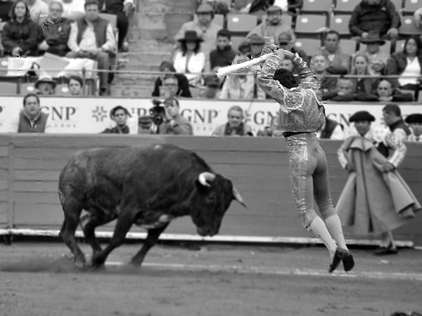 Lucido con los palos