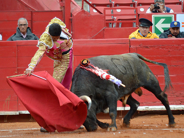 Bajo la mirada de Luis Fernando