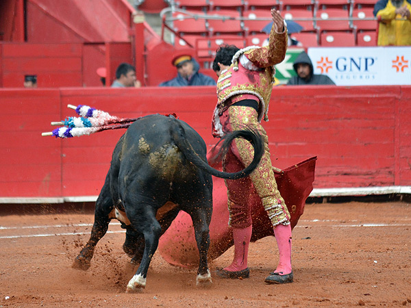 Disfrutando el momento