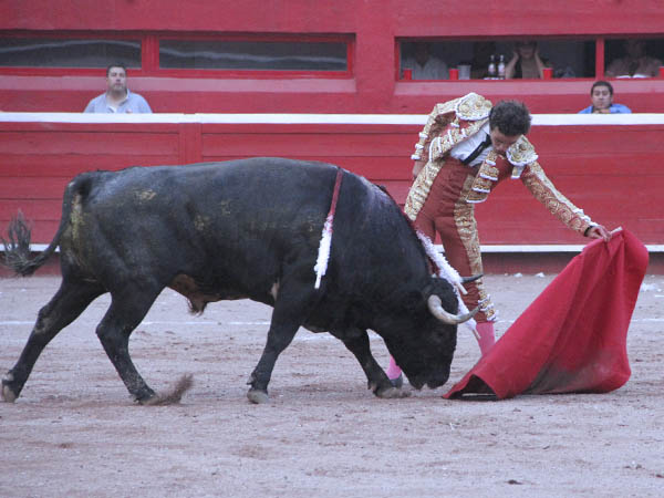 Aseado y con estructura