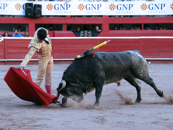 Voluntad por agradar